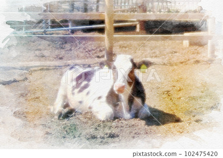 [Aichi Prefecture] Watercolor painting of cows at Aichi Ranch in Nisshin City 102475420