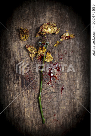 dried, broken and bloodied yellow flower on a wood dried, broken and bloodied yellow flower on a wood 102475689