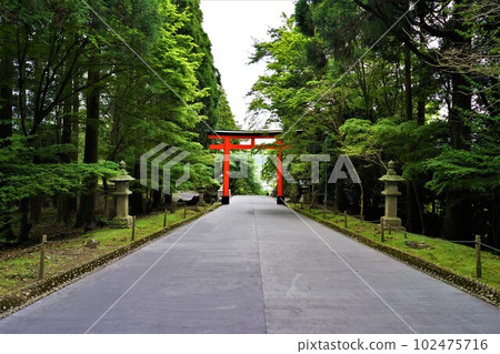 Taken in Kirishima City, Kagoshima Prefecture. Torii in the precincts of Kirishima Shrine 102475716