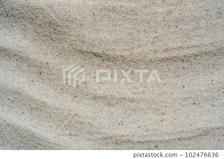 Macro close up sand texture. Background from fine sand. 102476636