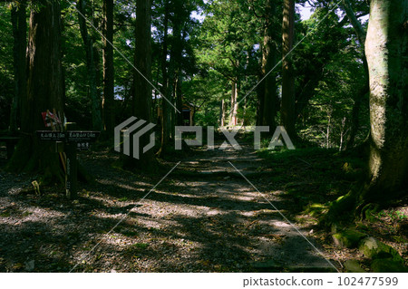 The path leading from Daisen Natsuyama Trail to Amida-do Hall 102477599