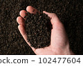 Hands taking a handful of fanning or broken loose leaf black tea and examining it in detail. Close 102477604