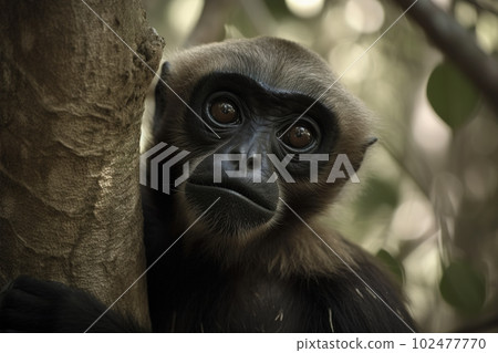 Image of pileated gibbon on the tree on nature background. Wildlife Animals. Illustration, generative AI. 102477770