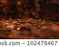 Palo Santo burning next to coins 102478467