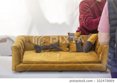 Furniture for pets. The seller advises the buyer before selling a sofa or dog bed. Plush bone as a decoration as a pillow. Small business for the production of accessories and furniture for pets. Furniture for pets. The seller advises the buyer before selling a sofa or dog bed. Plush bone as a decoration as a pillow. Small business for the production of accessories and furniture for pets. 102478669