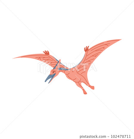 Dinosaur pterodactyloidea icon in cartoon style Vector Image