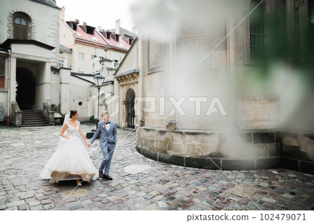 Wedding couple holding hands, groom and bride together on wedding day 102479071