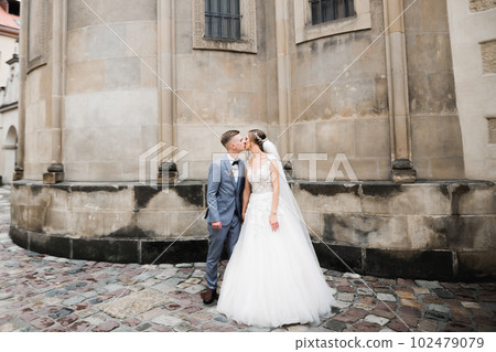 Beautiful bride and groom embracing and kissing on their wedding day outdoors 102479079