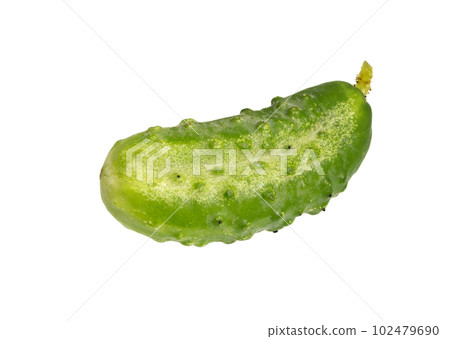 Cucumber on white 102479690