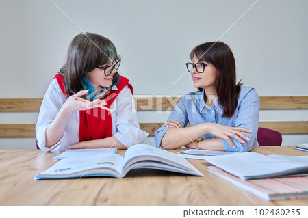 Young teenage female studying foreign languages in course with teacher 102480255