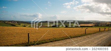 Agricultural fields of Ireland under the blue sky on a summer evening. A country road near a fenced field. field under blue sky 102480393