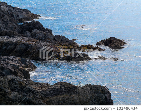 Coastal rocks and sea water on a sunny summer day. Landscape, rock formation on sea. 102480434