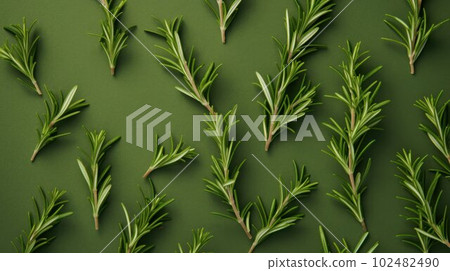 Aromatic Rosemary Herbs Photorealistic Horizontal Background. Healthy Vegetarian Diet. Ai Generated Hyperrealistic Background with Delicious Aromatic Rosemary Herbs. 102482490