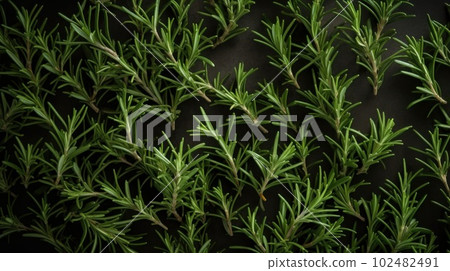 Aromatic Rosemary Herbs Photorealistic Horizontal Background. Healthy Vegetarian Diet. Ai Generated Hyperrealistic Background with Delicious Aromatic Rosemary Herbs. Aromatic Rosemary Herbs Photorealistic Horizontal Background. Healthy Vegetarian Diet. Ai Generated Hyperrealistic Background with Delicious Aromatic Rosemary Herbs. 102482491