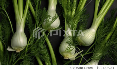 Aromatic Fennel Herbs Photorealistic Horizontal Background. Healthy Vegetarian Diet. Ai Generated Hyperrealistic Background with Delicious Aromatic Fennel Herbs. 102482984