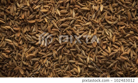 Aromatic Cumin Spice Photorealistic Horizontal Background. Healthy Vegetarian Diet. Ai Generated Hyperrealistic Background with Delicious Flavory Cumin Spice. 102483012