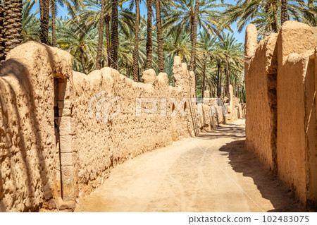 Al Ula ruined old town street with palms along the road, Saudi Arabia 102483075
