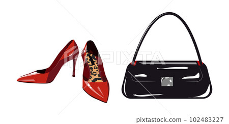 Fashionable women s leather bag with high heel red shoes isolated on white background 102483227