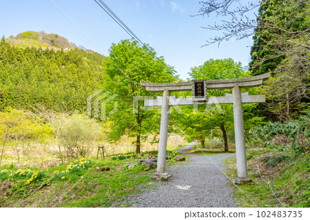 Mitake Shrine Torii 102483735