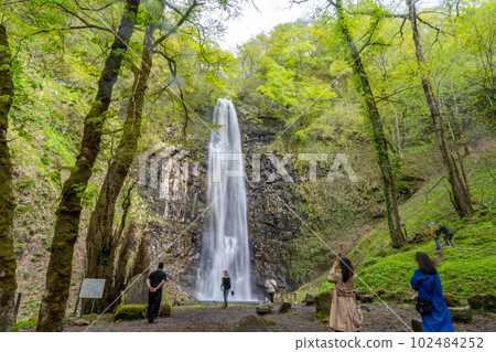 Tamadare Falls Shinryoku 102484252