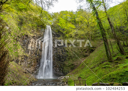 Tamadare Falls Shinryoku 102484253