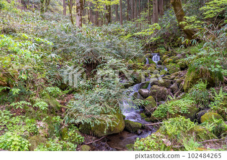 Mitake Shrine Clear stream on the approach 102484265