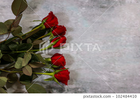 灰色背景上的紅玫瑰花束 灰色背景上的紅玫瑰花束 102484410
