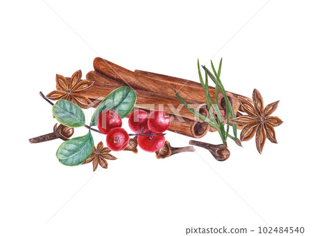 Watercolor botanical illustration of cowberries, cinnamons, pine needles and cloves isolated on white background. Set for the design of invitation, cards, package design, advertising posters, labels 102484540
