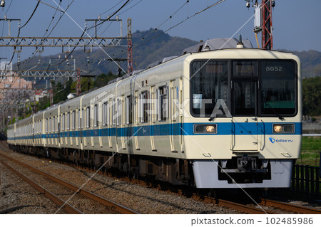 Railway Odakyu 8000 series 102485986