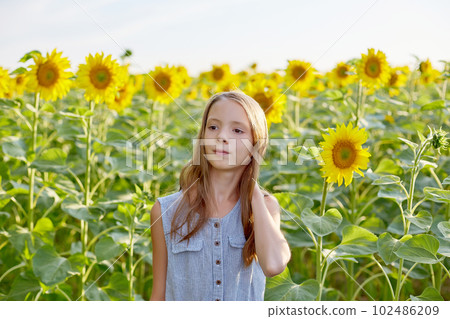girl in sunflowers girl in sunflowers 102486209