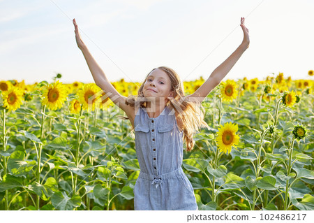 girl in sunflowers girl in sunflowers 102486217