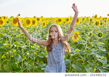 girl in sunflowers 102486232