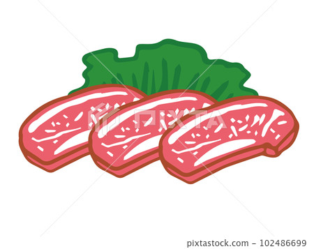 Hand drawn style illustration of raw meat Hand drawn style illustration of raw meat 102486699