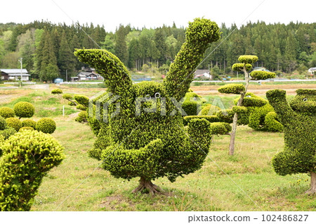 引人注目的植物 引人注目的植物 102486827