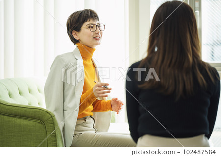 Career woman making a meeting 102487584