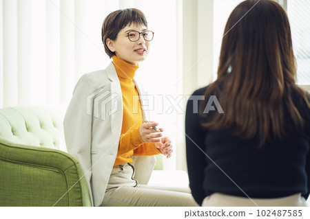 Career woman making a meeting Career woman making a meeting 102487585