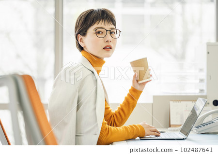 Career woman working in the office 102487641