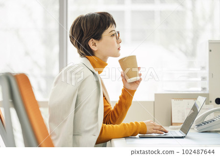 在辦公室工作的職業女性 在辦公室工作的職業女性 102487644