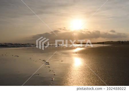 冬天的湘南夕陽 102488022