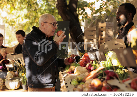 Elderly client smelling bio apples and standing near farmers food market stand with variety of fresh pesticide free fruits and vegetables. Old man buying locally grown organic produce. Elderly client smelling bio apples and standing near farmers food market stand with variety of fresh pesticide free fruits and vegetables. Old man buying locally grown organic produce. 102488239