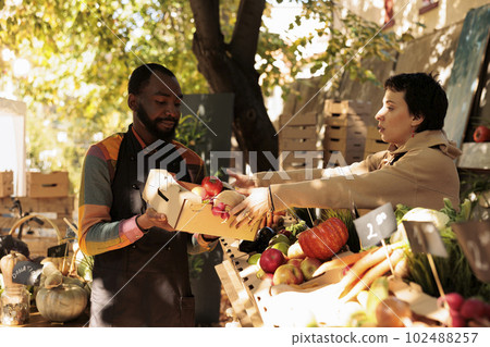 Team of diverse farmers preparing food market stand with fruits and veggies in boxes, selling homegrown natural products. Young people displaying various organic fresh bio produce. Team of diverse farmers preparing food market stand with fruits and veggies in boxes, selling homegrown natural products. Young people displaying various organic fresh bio produce. 102488257