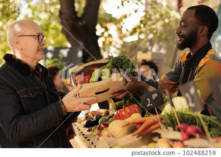 Old person receiving box of fresh fruits and veggies at farmers market, visiting stand on sunny day. Smiling african american man small business owner selling home grown organic produce. Old person receiving box of fresh fruits and veggies at farmers market, visiting stand on sunny day. Smiling african american man small business owner selling home grown organic produce. 102488259