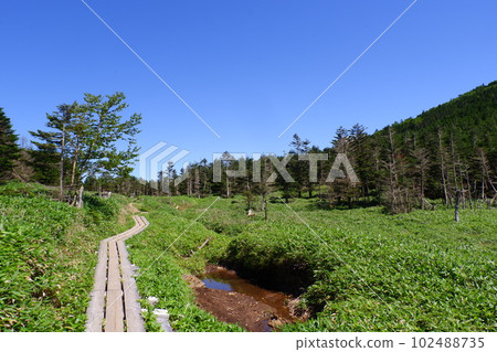 通往北八岳阿梅池峠的木棧道 102488735
