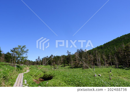 北八岳帶條紋的干山和木板路 102488736