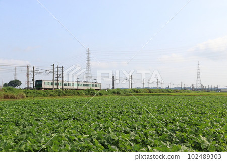 烏山線EV-E301 / Accum（電車區間：宇都宮⇔烏山） 102489303