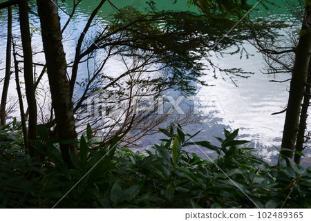 The view of Kita Yatsugatake Futago Pond where the blue sky is reflected on the surface of the lake The view of Kita Yatsugatake Futago Pond where the blue sky is reflected on the surface of the lake 102489365