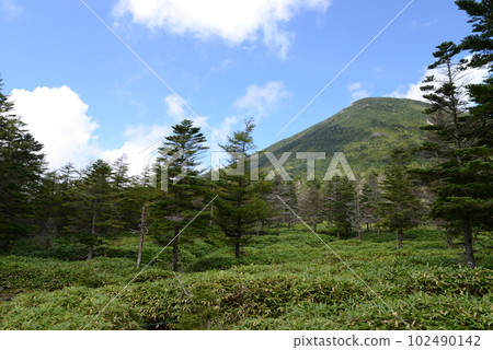 View of Kita Yatsugatake Mt. Tateshina seen from Tenshoji Hara 102490142