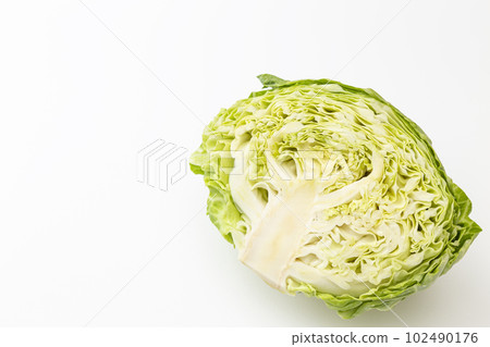 Cabbage cut in half White background 102490176