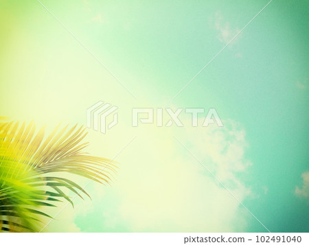 懷舊的夏日天空 102491040
