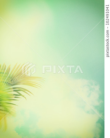 nostalgic summer sky 102491041